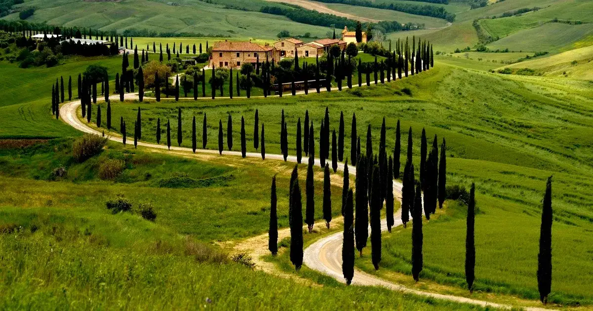Val d'Orcia cyprysy droga Toskania