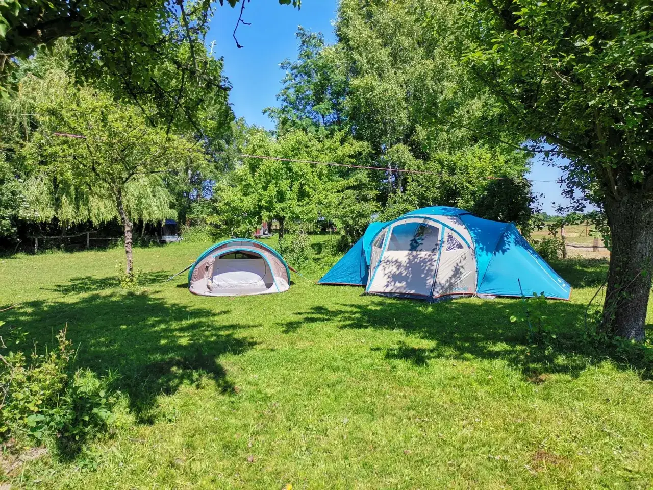 Dwa namioty na zielonej trawie, w cieniu drzew. Idealne miejsce na wypoczynek, prawdziwy pole namiotowe świętokrzyskie.