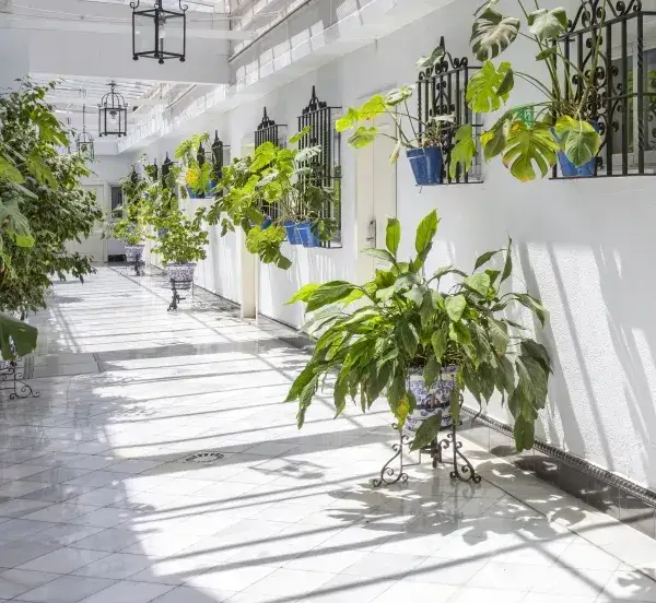 Zdjęcie Catalonia H&iacute;spalis Sevilla: &iquest;El hotel ideal para tu viaje?