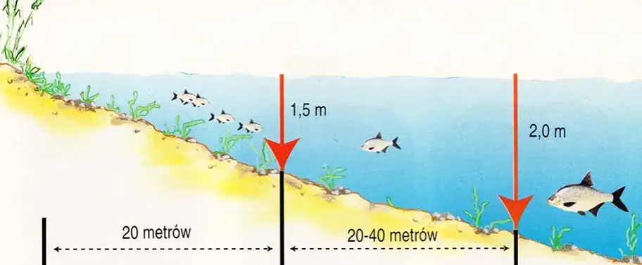 miejsca żerowania leszcza w jeziorze