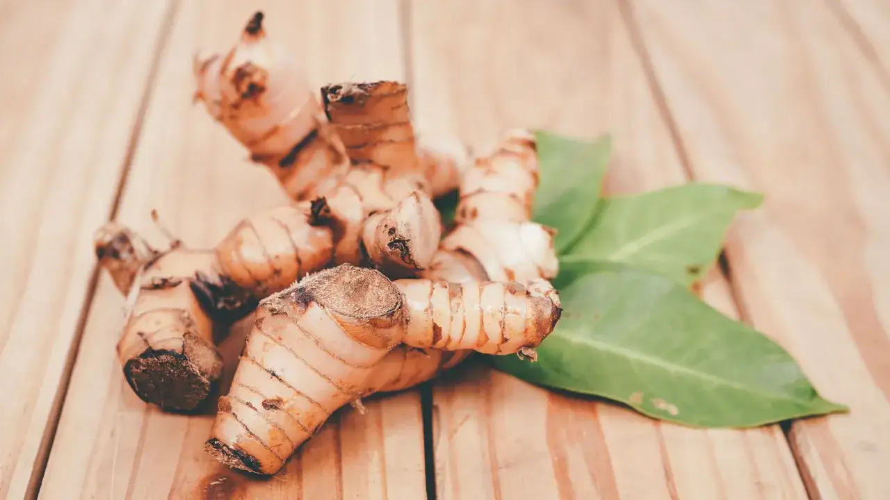 imbir i galangal porównanie