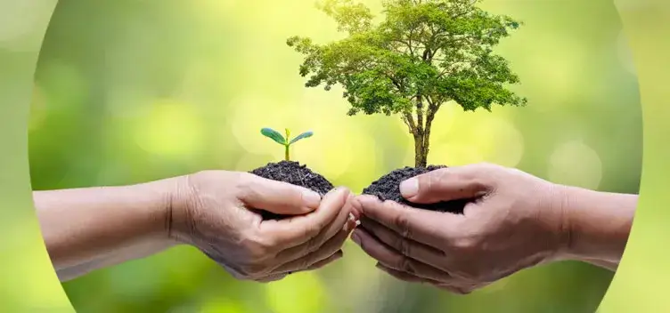 Zdjęcie Gdzie wyrzucić chleb, aby nie marnować żywności i dbać o środowisko