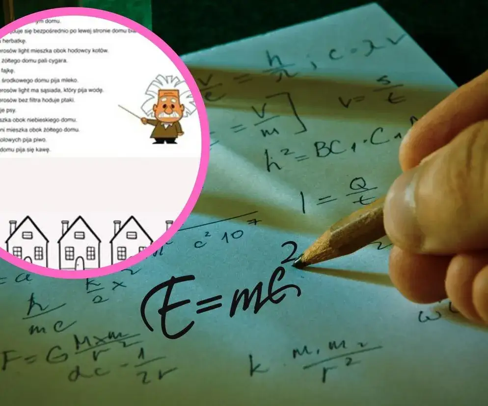 Zdjęcie Rozwiązanie zagadki Einsteina: poznaj kto naprawdę hoduje rybki