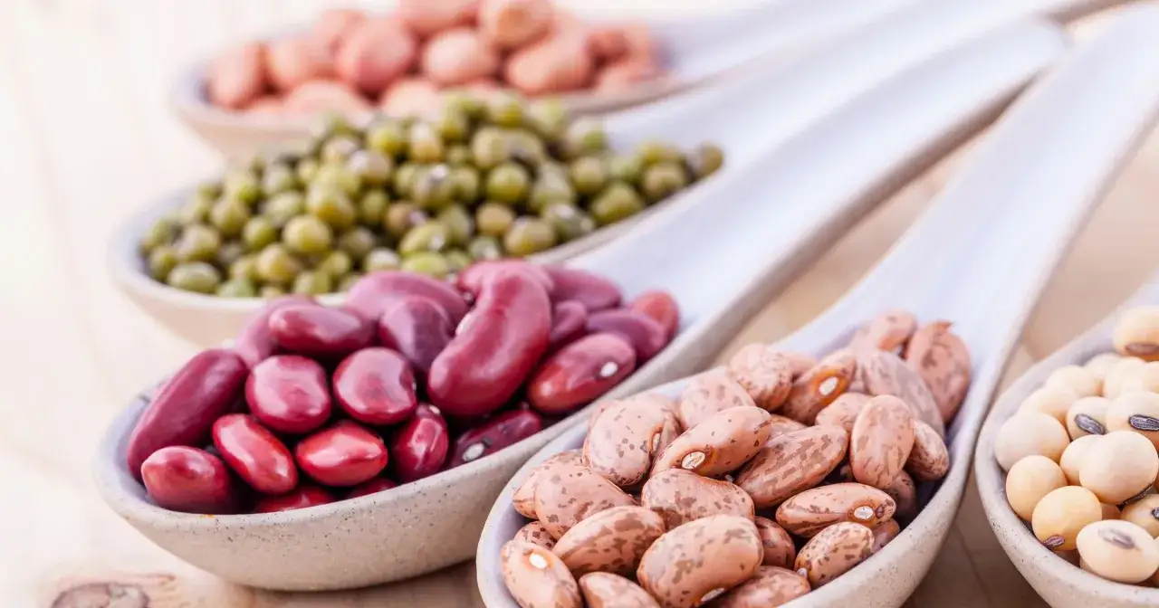 Zdjęcie Czy fasola jest dietetyczna? Odkryj jej niesamowite właściwości zdrowotne
