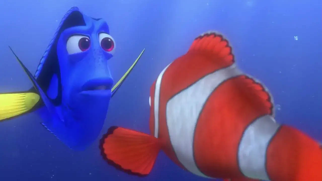 Zdjęcie Gdzie jest Nemo rybki? Odkryj tajemnice jego poszukiwań