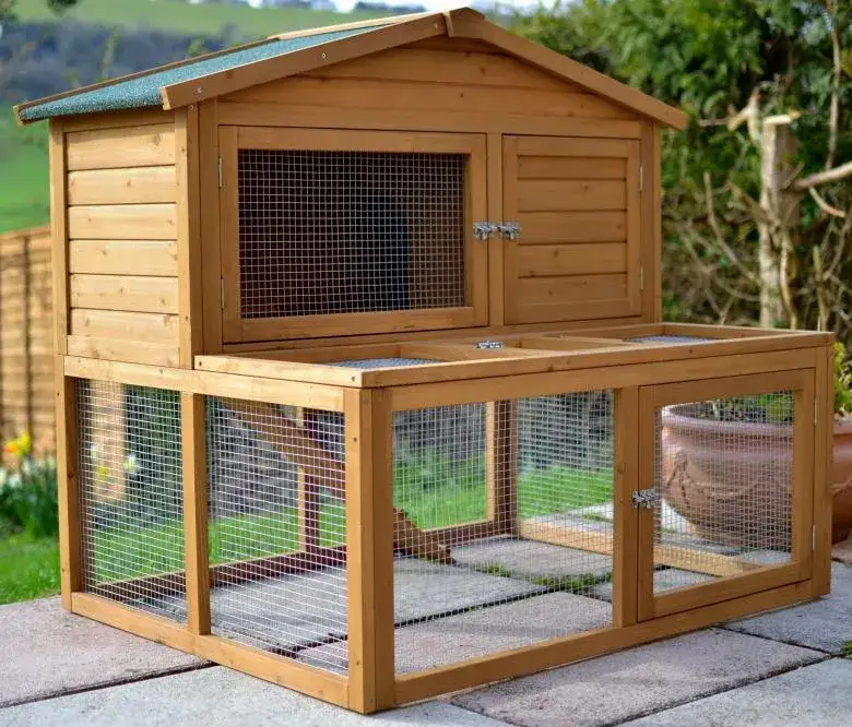 Zdjęcie Jak przygotować klatkę dla królika, aby zapewnić mu komfort i bezpieczeństwo