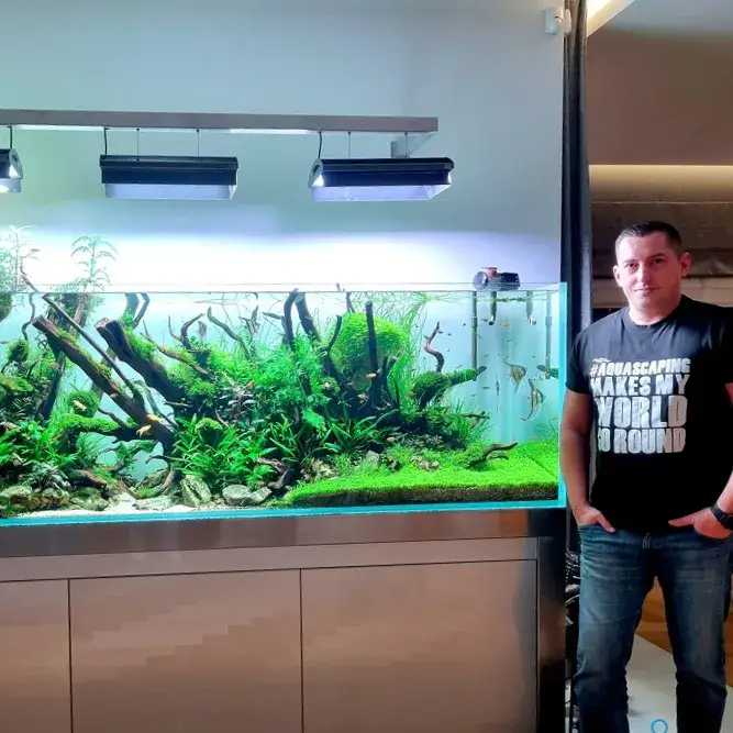 Zdjęcie Jak zrobić oświetlenie do akwarium, aby uniknąć najczęstszych błędów
