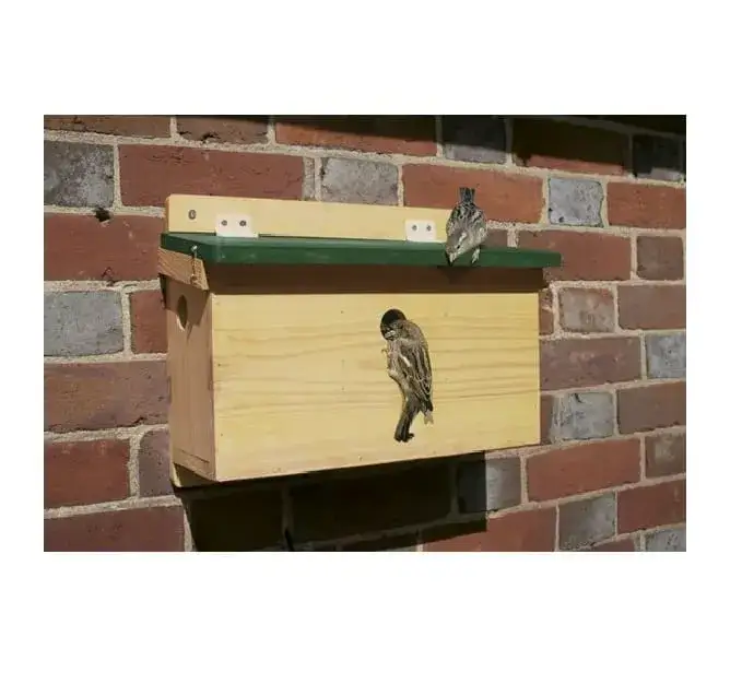 budka lęgowa dla wróbli