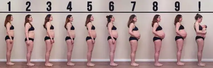 brzuch w 2 miesiącu ciąży zdjęcia por&oacute;wnawcze