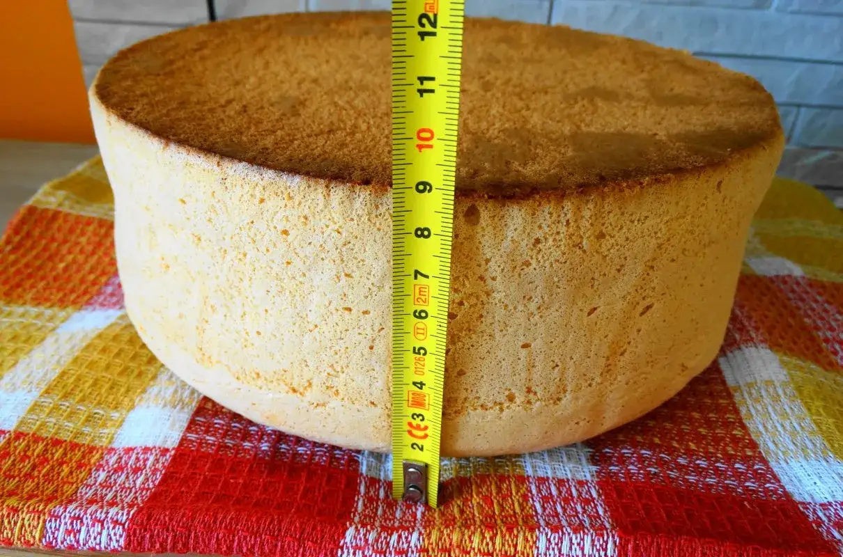 Idealny biszkopt, wysoki i puszysty, mierzy ok. 10 cm. To dow&oacute;d na udany przepis na dobry biszkopt.