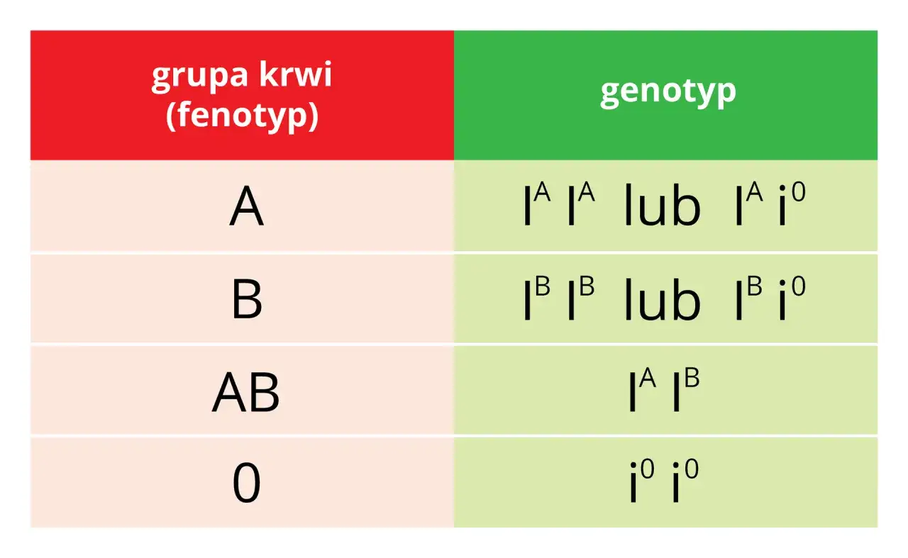 tabela dziedziczenia grup krwi AB0 i Rh