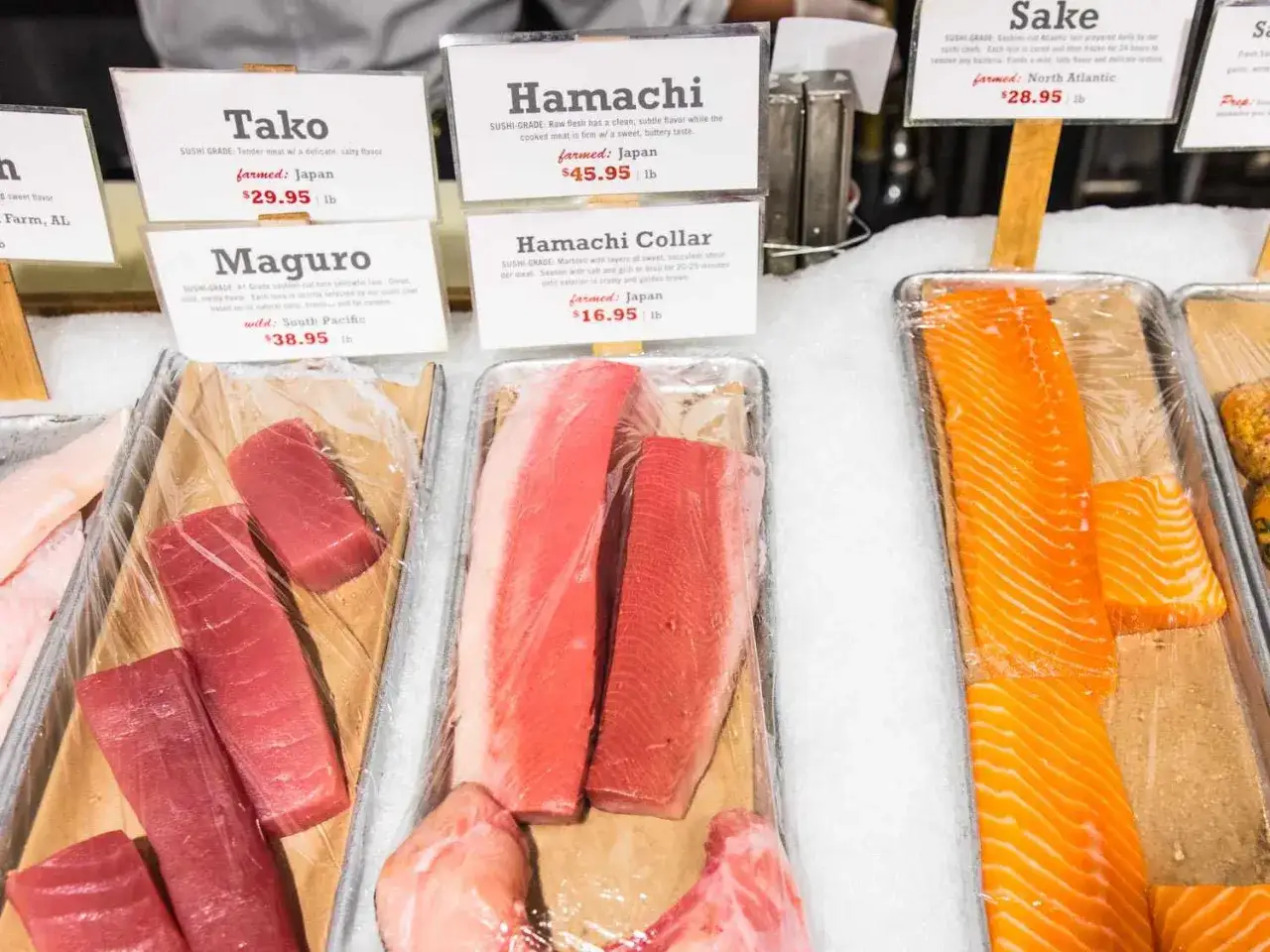Gdzie kupić surowego łososia do sushi? Na zdjęciu widać świeże ryby, w tym łososia, idealne do przygotowania sushi.