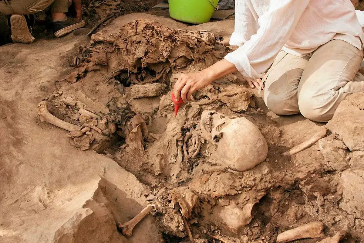 historyk archeolog badania naukowe