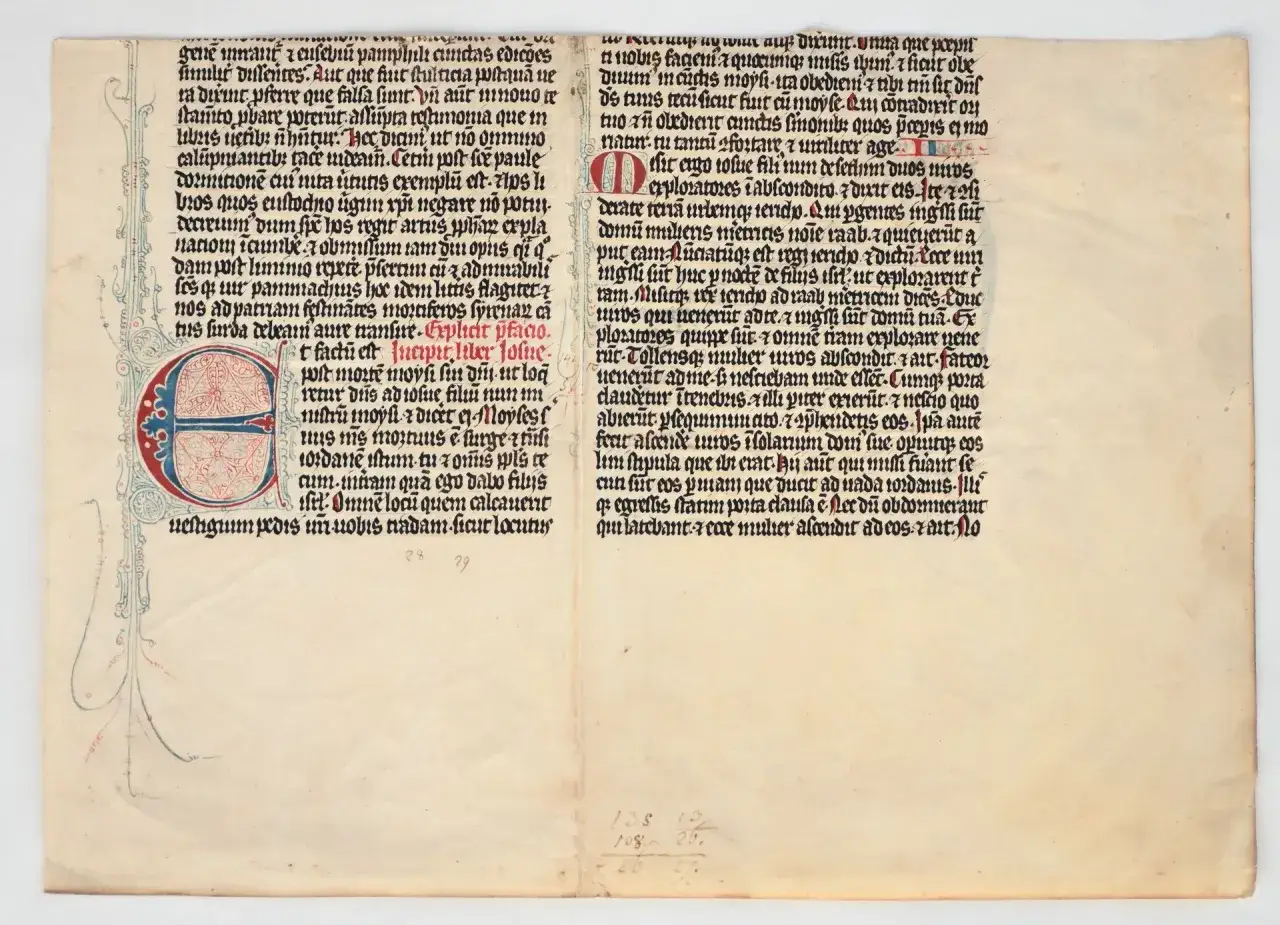 tajemnicza biblioteka książki stare księgi