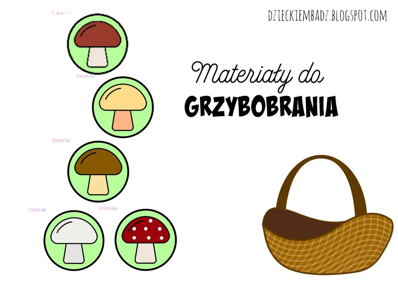 Kolorowe grzyby do druku dla przedszkola: borowik, pieczarka, kurka, muchomor. Materiały do grzybobrania.