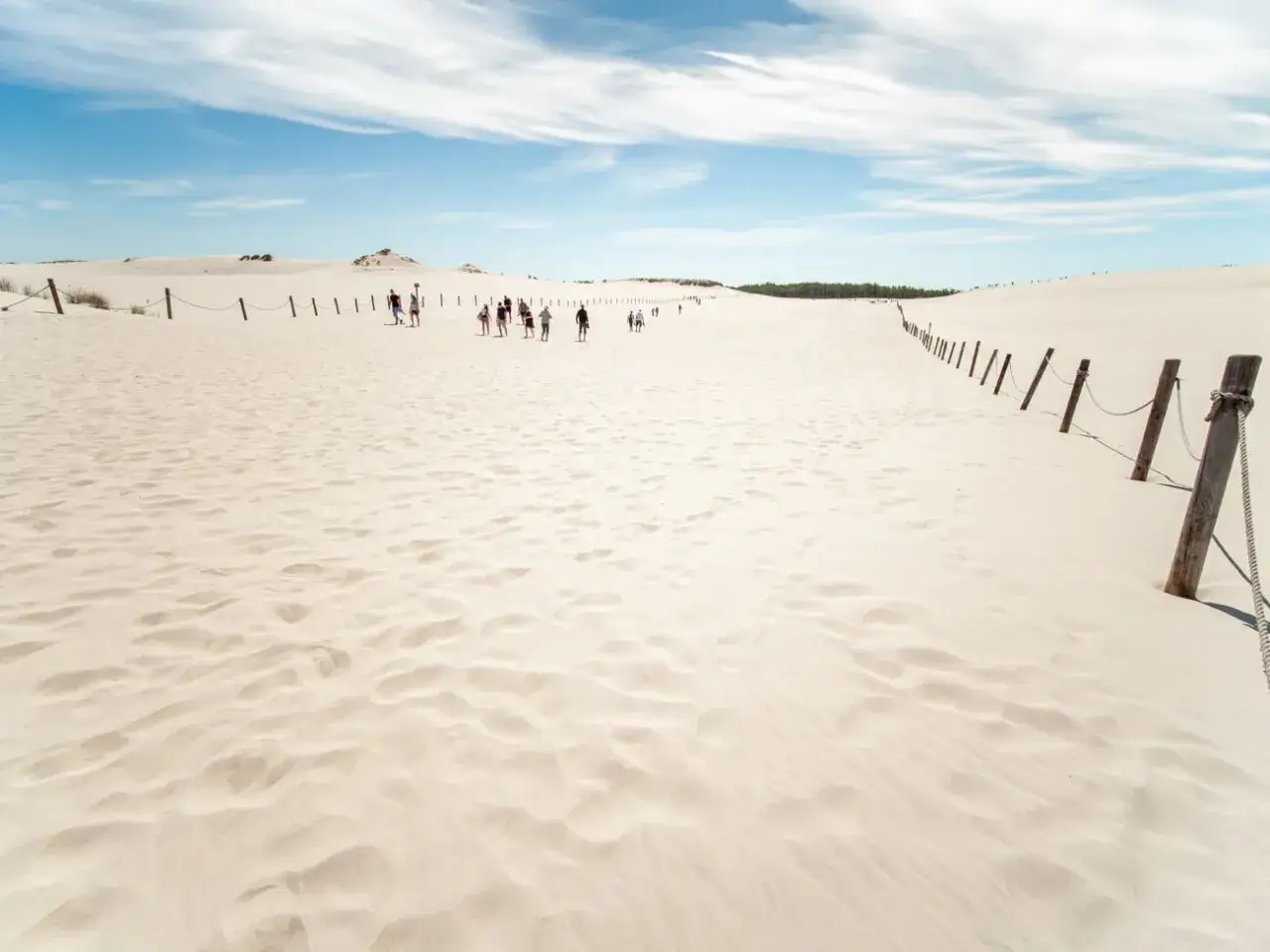 Spacer po ruchomych wydmach Słowińskiego Parku Narodowego. Ciekawe, jak szybko piasek zmienia krajobraz!