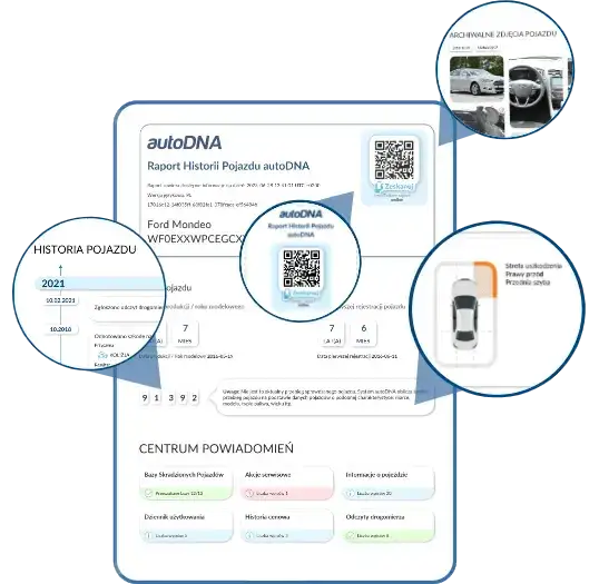 sprawdzanie danych samochodu online