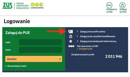 PUE ZUS logowanie ekran
