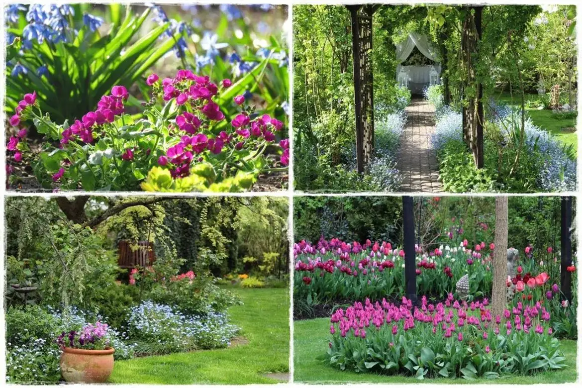 r&oacute;żnorodność kwiat&oacute;w wiosennych na tarasie