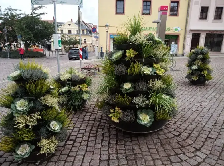 Kwietnik kaskadowy aranżacje rośliny