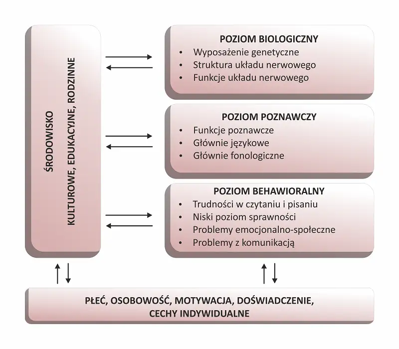 dziecko czytające z trudnością schemat objaw&oacute;w dysleksji