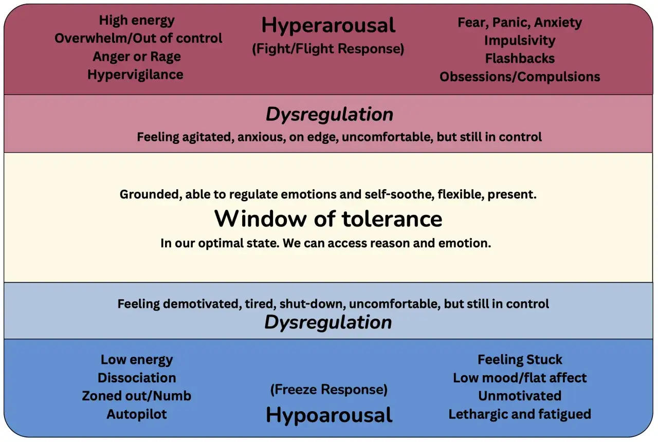 Diagram ukazuje stany regulacji emocjonalnej: od hiper- i hipo- pobudzenia, przez dysregulację, po okno tolerancji. Przeciążony układ nerwowy objawia się w stanach skrajnych.