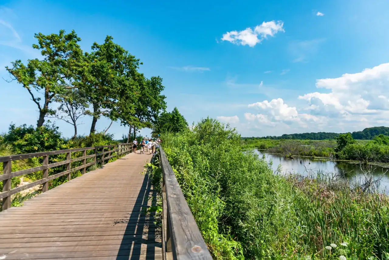 Kołobrzeg trasy rowerowe ekopark wschodni