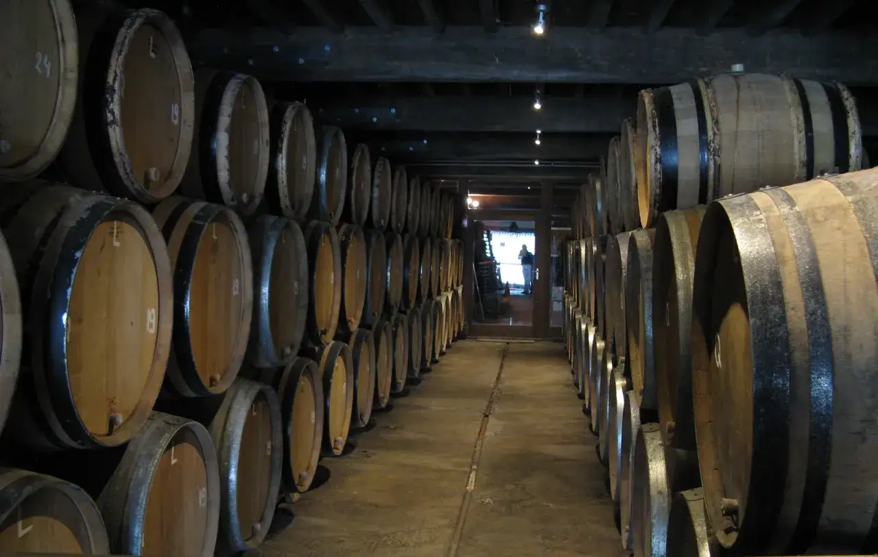 W piwnicy stoją rzędy beczek. Czy warto leżakować piwa rzemieślnicze (barrel aged) w piwnicy? Czas pokaże, jak dojrzewają.