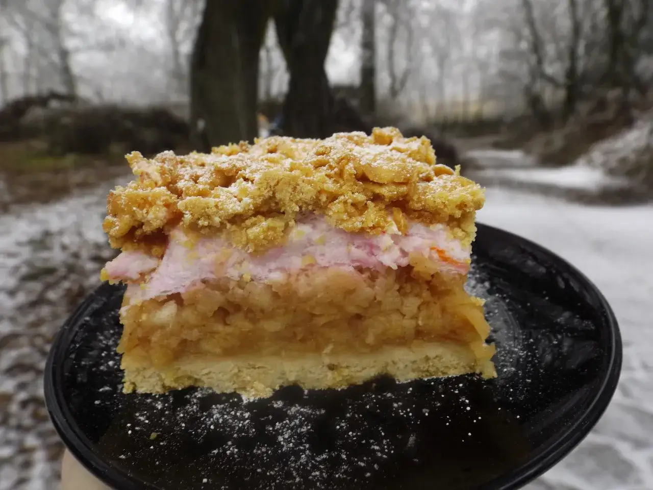 Pyszna szarlotka z kisielem, z kruszonką i cukrem pudrem, na tle zimowego krajobrazu. Idealna na mroźny dzień.