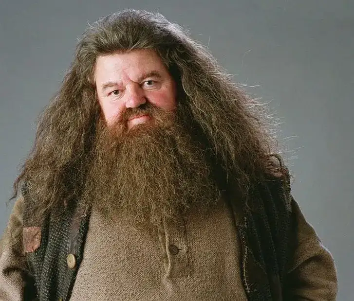 Zdjęcie Aktor Hagrida Robbie Coltrane: Jego życie, kariera i niezapomniane role