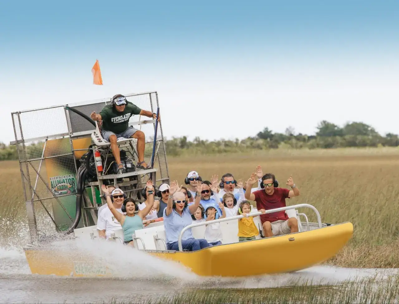 Everglades airboat aligator