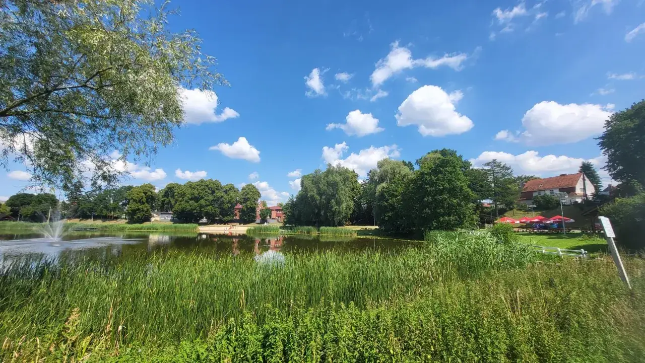 Jezioro Miedwie plaża