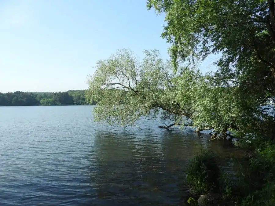 Zdjęcie Jezioro Straszyńskie: historia, ekologia i atrakcje w okolicy