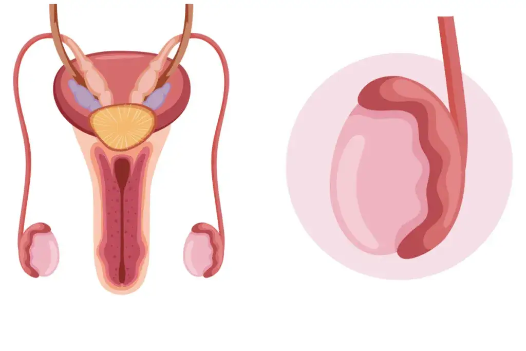 Mężczyzna wykonujący samobadanie jąder instrukcja