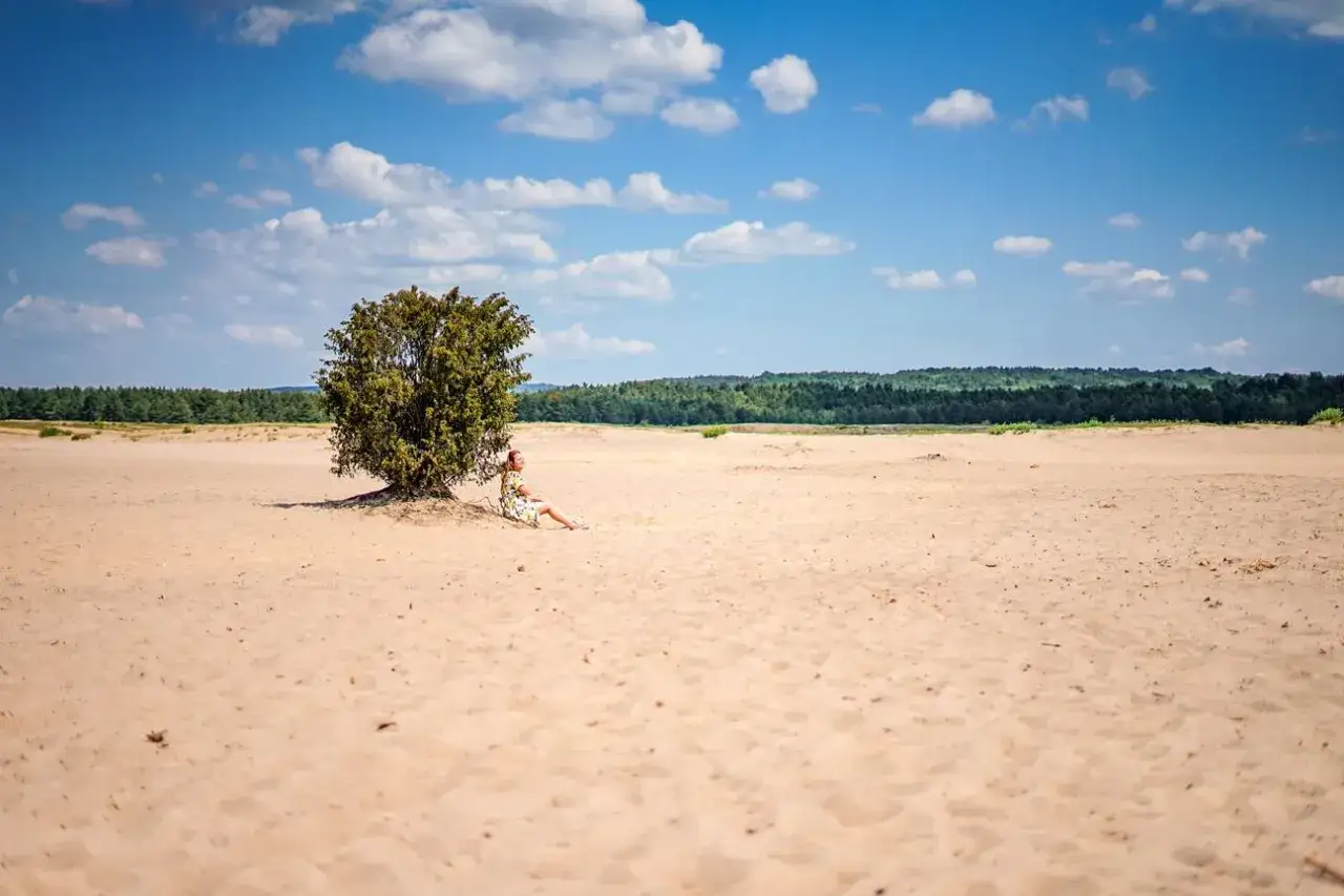 Kobieta odpoczywa w cieniu samotnego drzewa na Pustyni Błędowskiej.