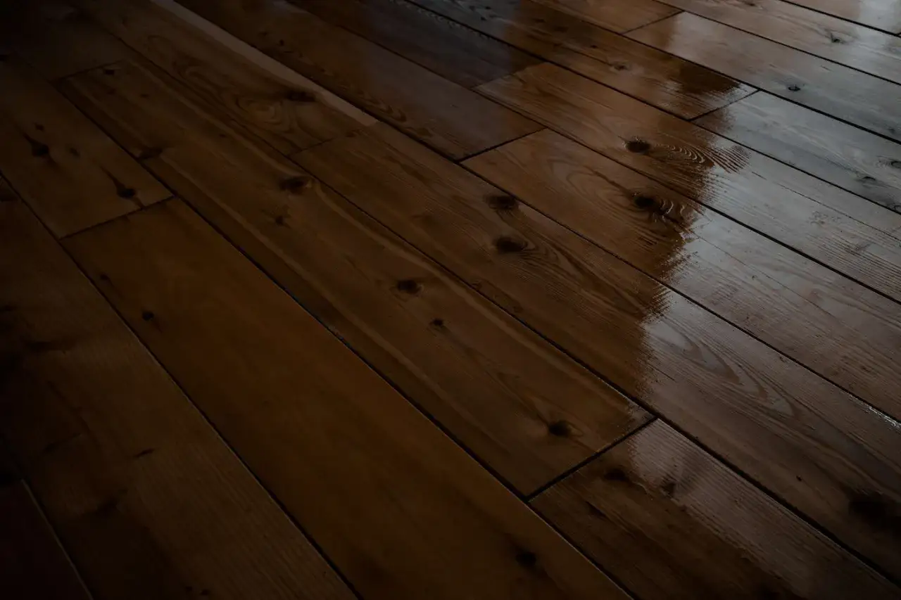 Drewniana podłoga po malowaniu lakierem bezbarwnym. Błyszczące deski z widocznymi słojami i sękami.