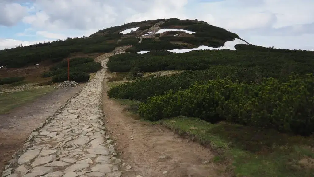 Zdjęcie Najłatwiejszy szlak na Babią Górę – idealny dla rodzin i początkujących