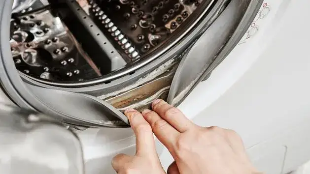 Zdjęcie Skuteczne sposoby na to, czym zlikwidować pleśń na gumie w pralce