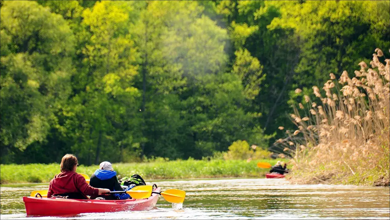Zdjęcie Ile kosztuje kajak? Sprawdź ceny wynajmu i zakupu już teraz