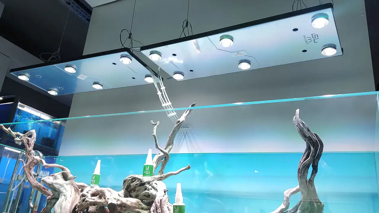 Zdjęcie Jakie ledy do akwarium - wybierz najlepsze oświetlenie dla ryb i roślin