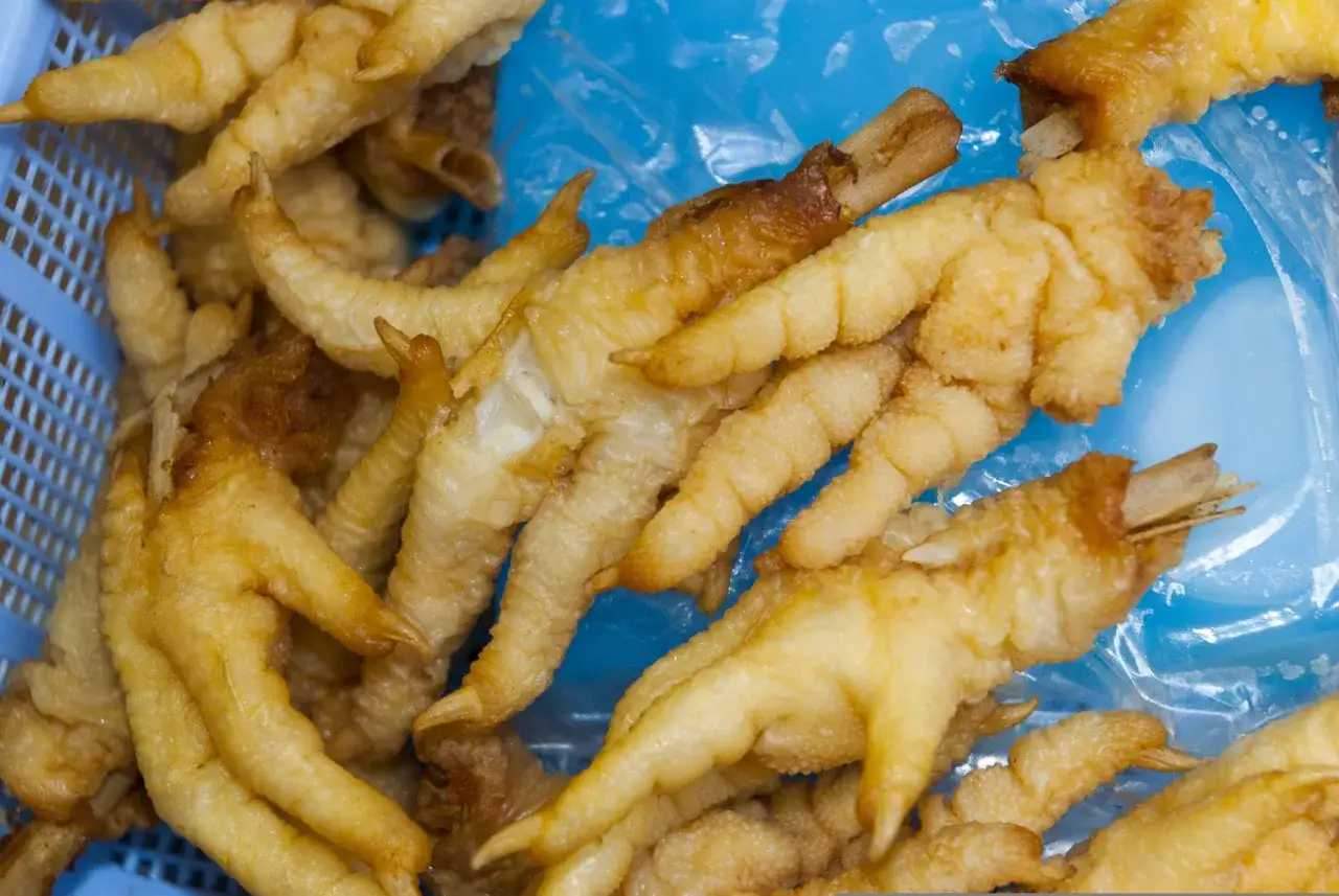 Zdjęcie Czy pies może jeść kurze łapki? Bezpieczne sposoby i ryzyka