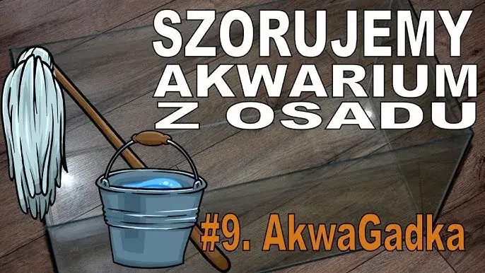 Zdjęcie Skuteczne metody na usunięcie kamienia z akwarium bez wysiłku