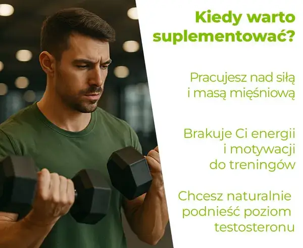 Zdjęcie Jaki testosteron na odchudzanie? Odkryj skuteczne metody wsparcia masy mięśniowej