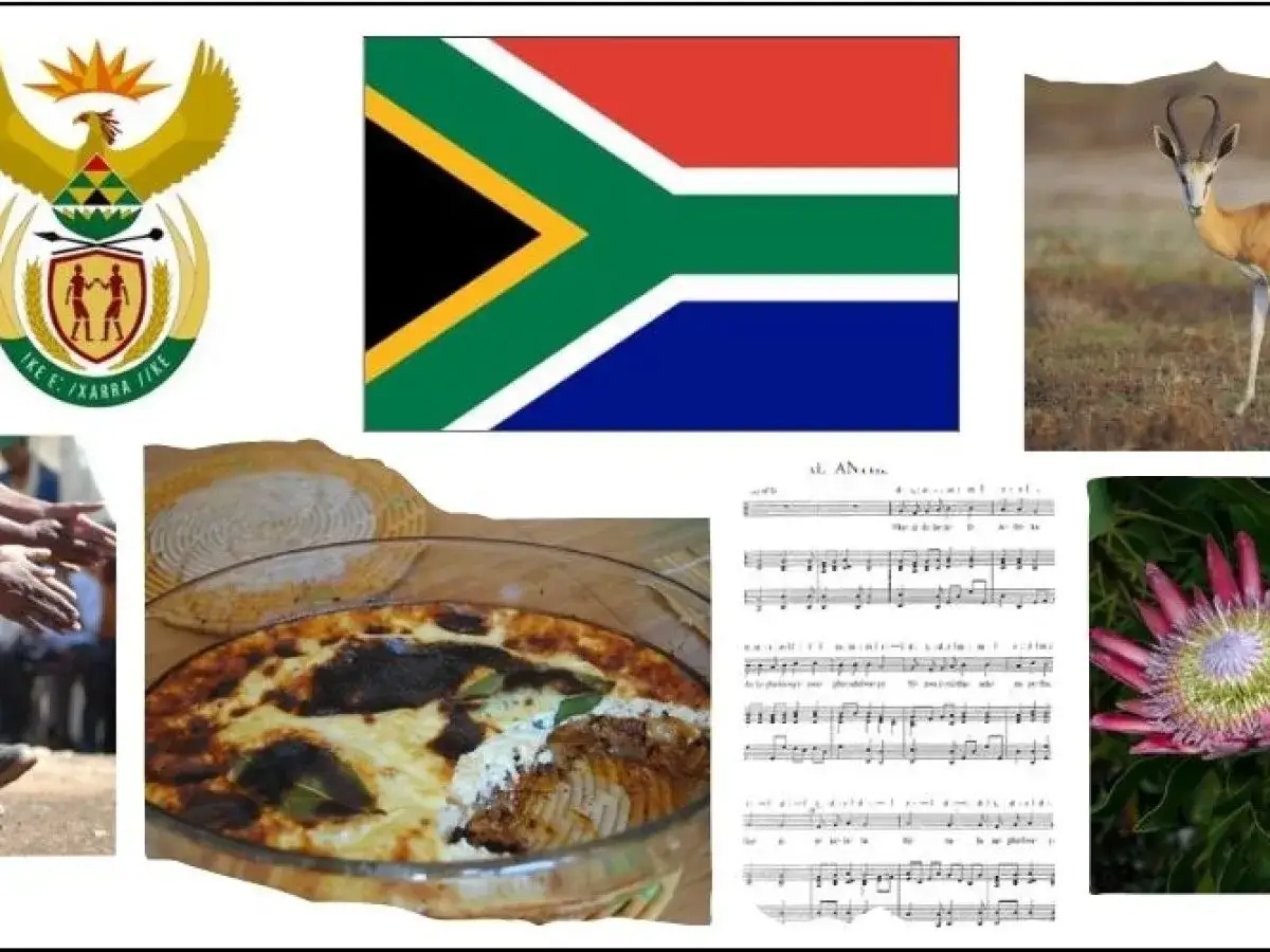 Zdjęcie Który ptak jest symbolem RPA? Poznaj żurawia rajskiego i jego znaczenie