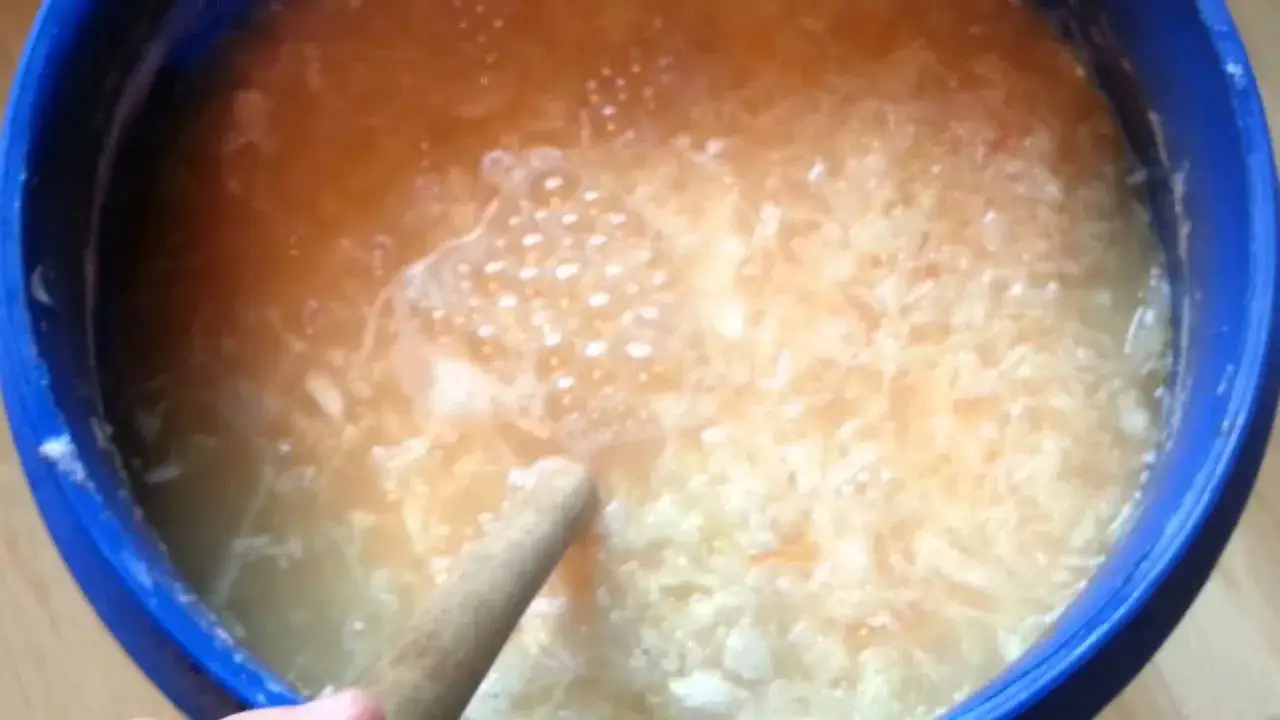 Zdjęcie Jak kisić kapustę w beczce plastikowej - unikaj najczęstszych błędów