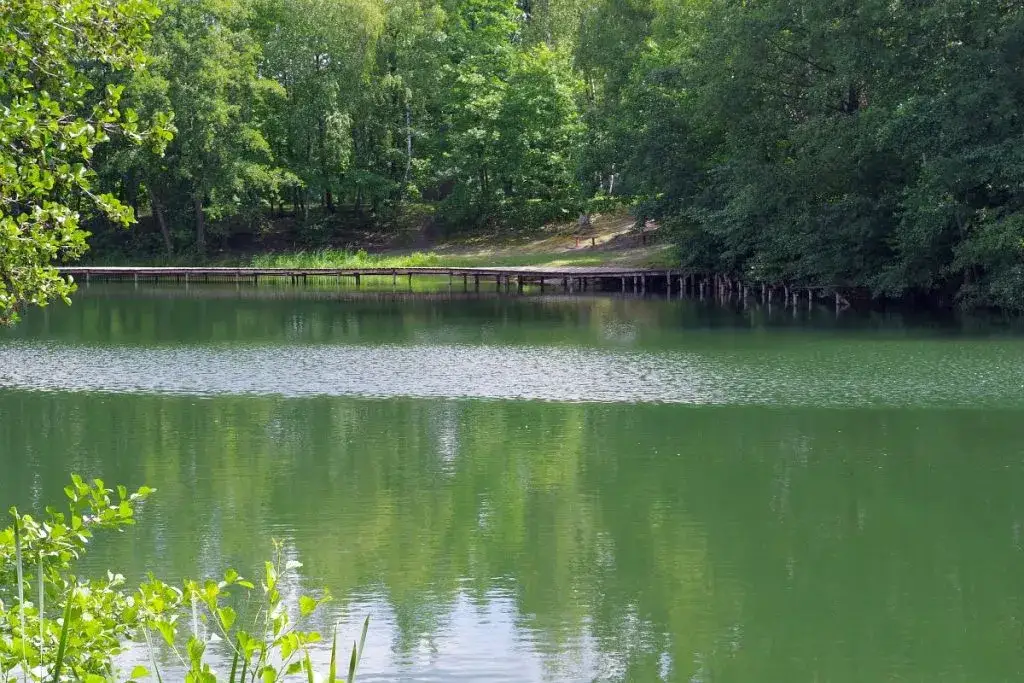 Zdjęcie Jezioro Czechowickie: Odkryj raj dla miłośników rekreacji i spokoju