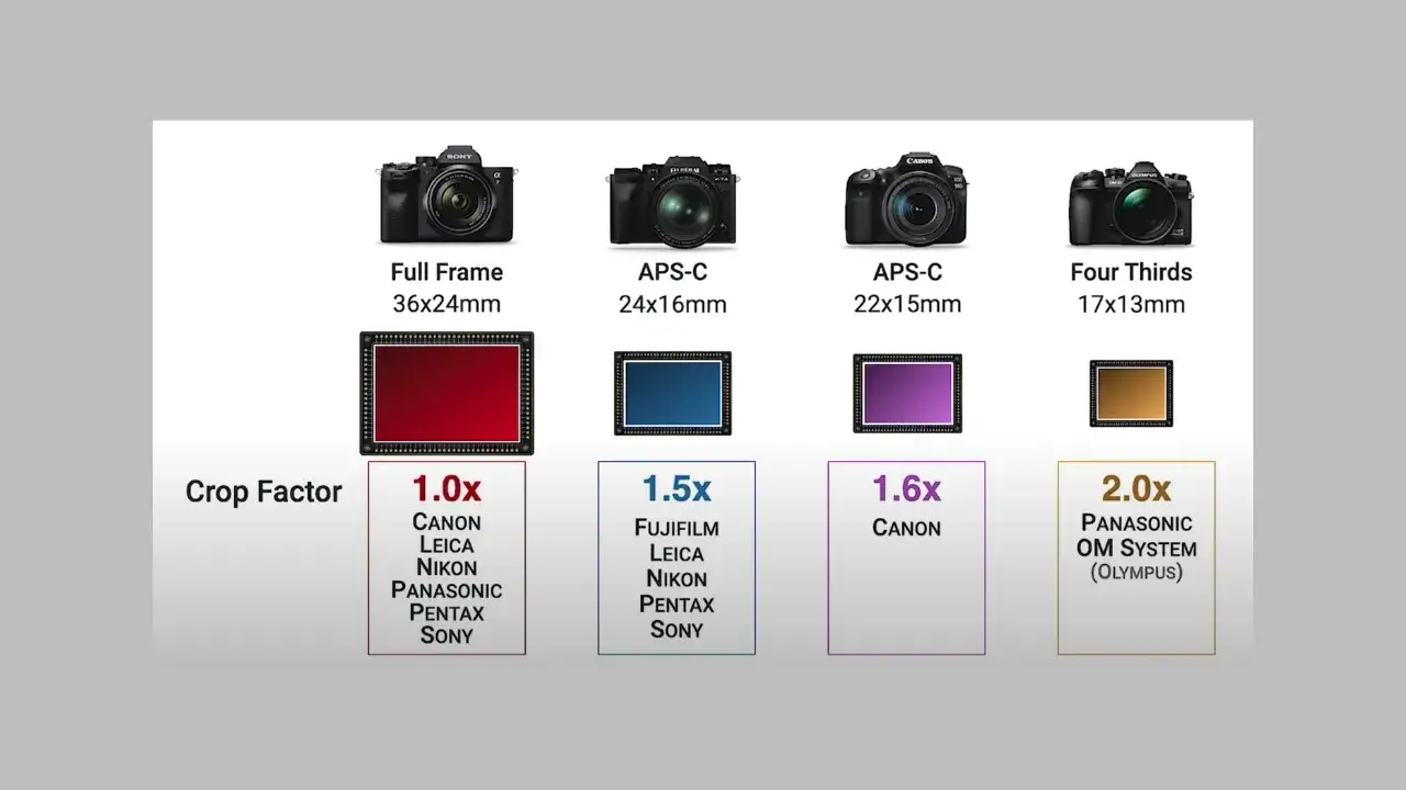 porównanie matrycy pełnoklatkowej i APS-C oraz crop factor