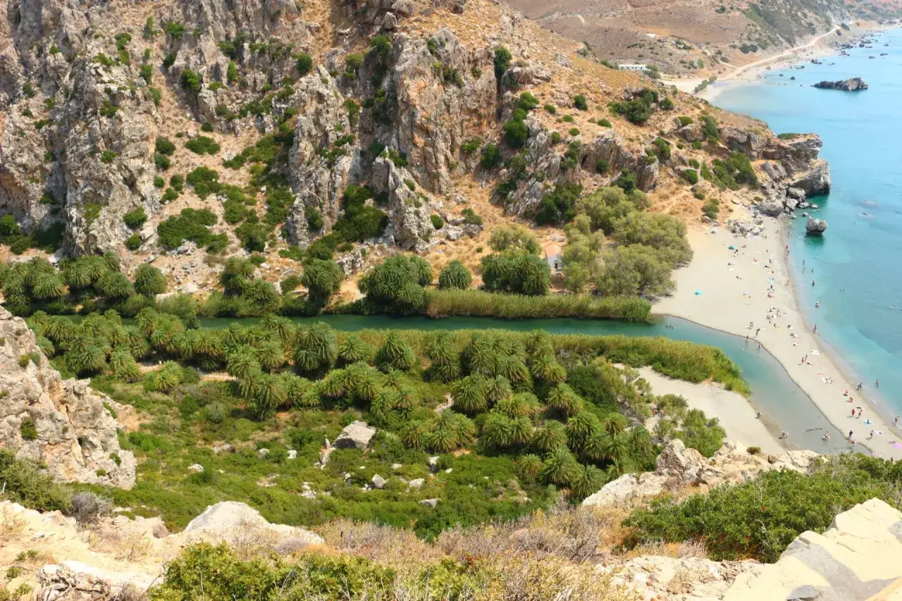 Plaża Preveli gaj palmowy