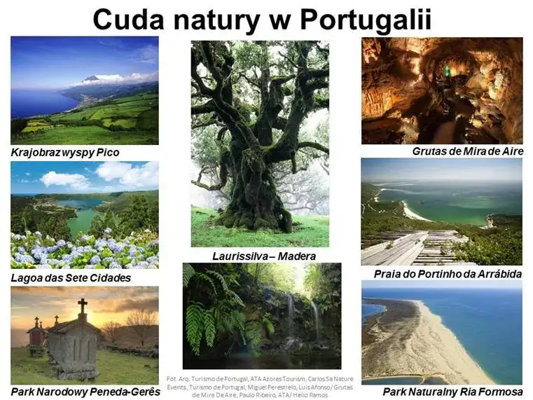 Najpiękniejsze cuda natury świata kolaż