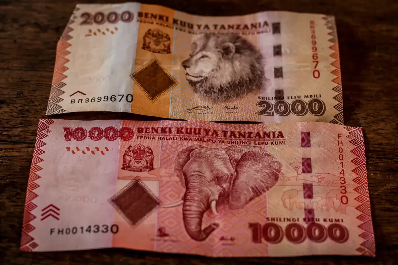 Dwie banknoty: 2000 szylingów z lwem i 10000 szylingów z słoniem. Waluta na Zanzibarze.